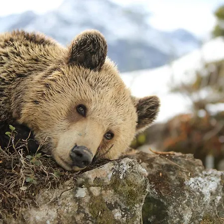 Valsana - Small Luxury 4*