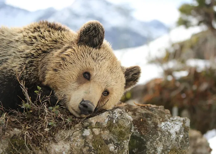 Valsana - Small Luxury Of The World 4*